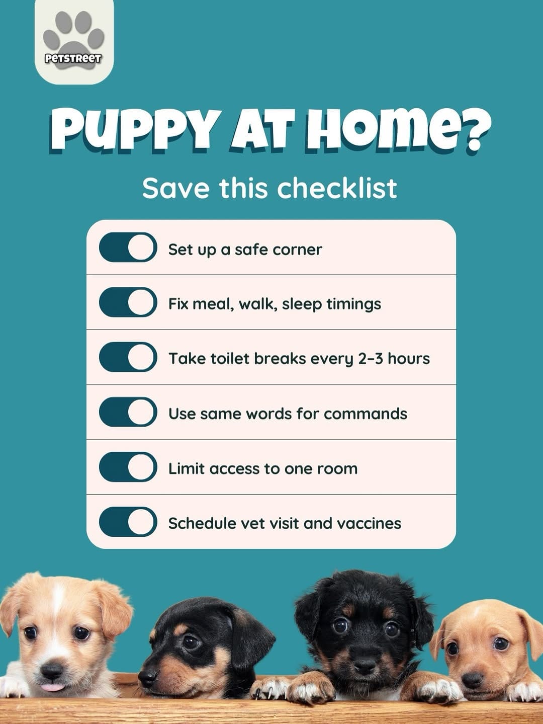 Post 3 by PETSTREET ™ | All-In-One Pet Care on Instagram (image)
