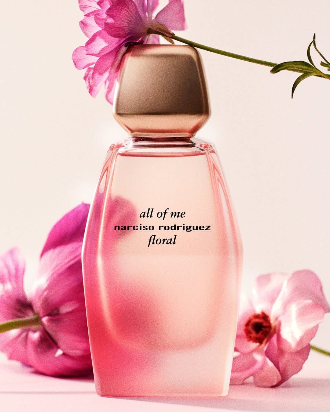 Post 9 by Penha Duty Free Curacao on Instagram (image)