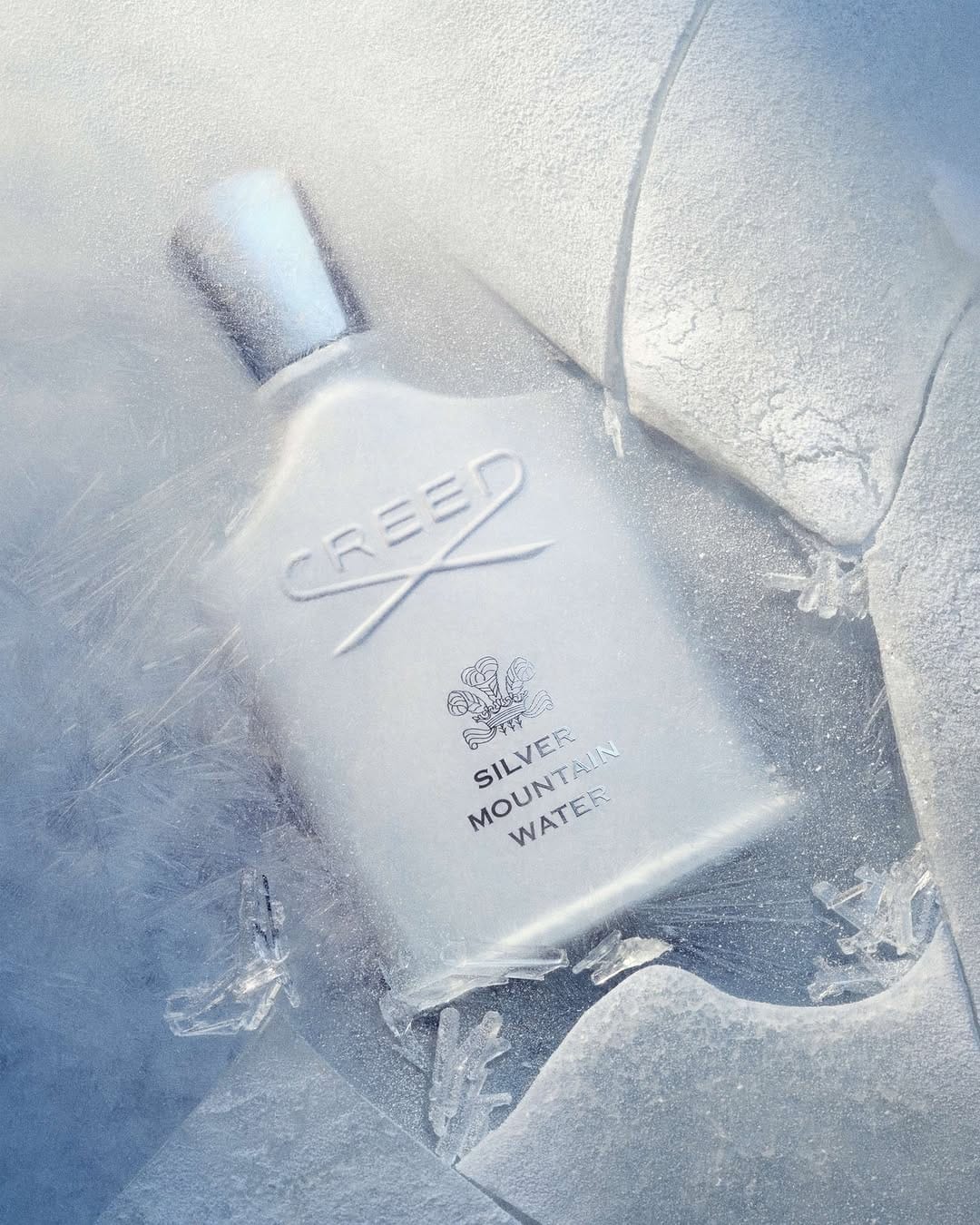 Post 8 by Penha Duty Free Curacao on Instagram (image)