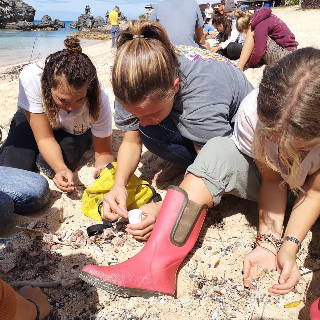 Post 9 by STOP! Micro Waste on Instagram (carousel)