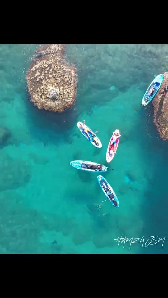 Post 10 by Aquaholic on Instagram (video)
