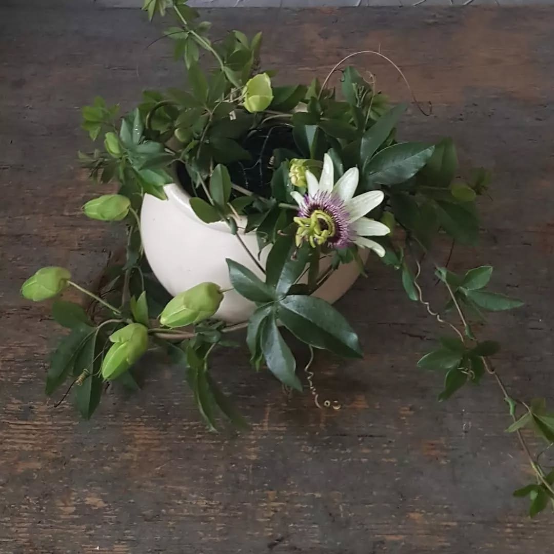 Post 2 by Hanako Flowers on Instagram (image)