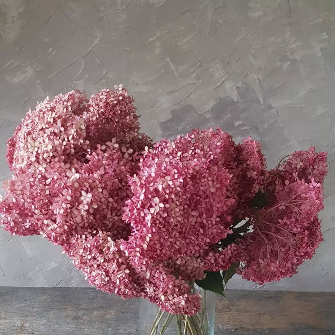 Post 9 by Hanako Flowers on Instagram (carousel)