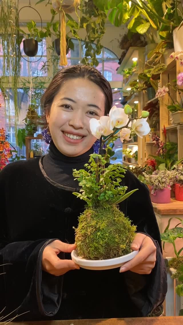 Post 3 by Pilea Living on Instagram (video)