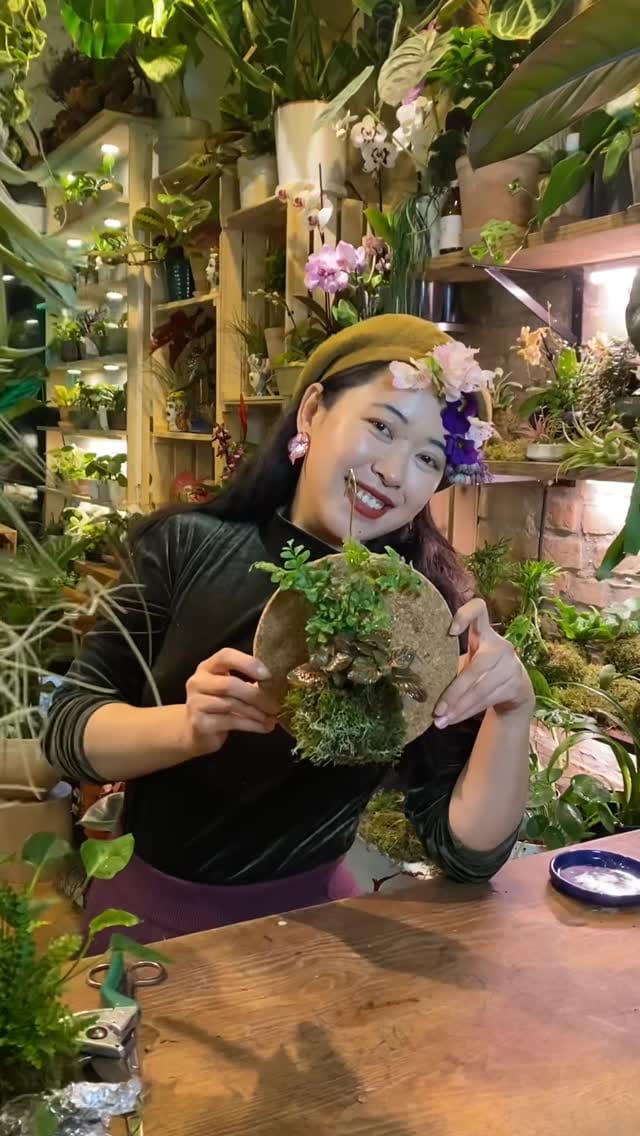 Post 2 by Pilea Living on Instagram (video)