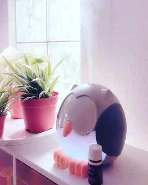 Post 10 by Team OiLISST on Instagram (video)