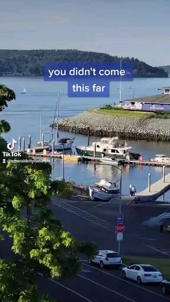 Post 9 by Emerald City Naturals on Instagram (video)