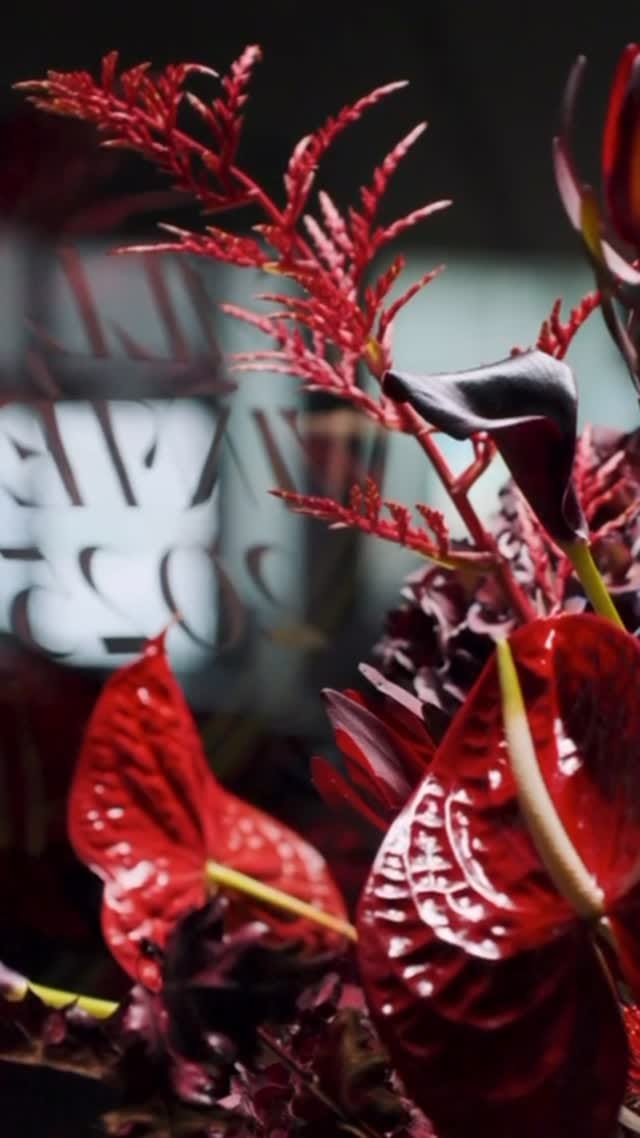 Post 7 by RUBY - Fashion Store Munich on Instagram (video)