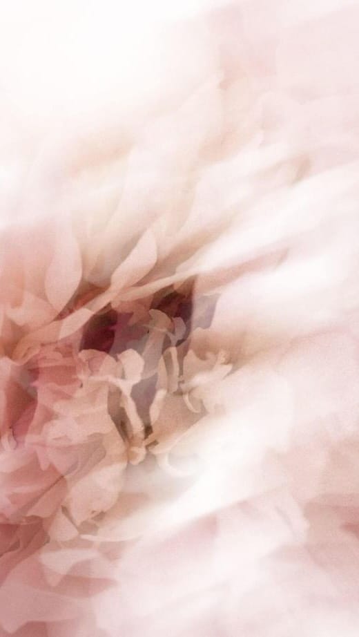 Post 3 by LONI BAUR on Instagram (video)