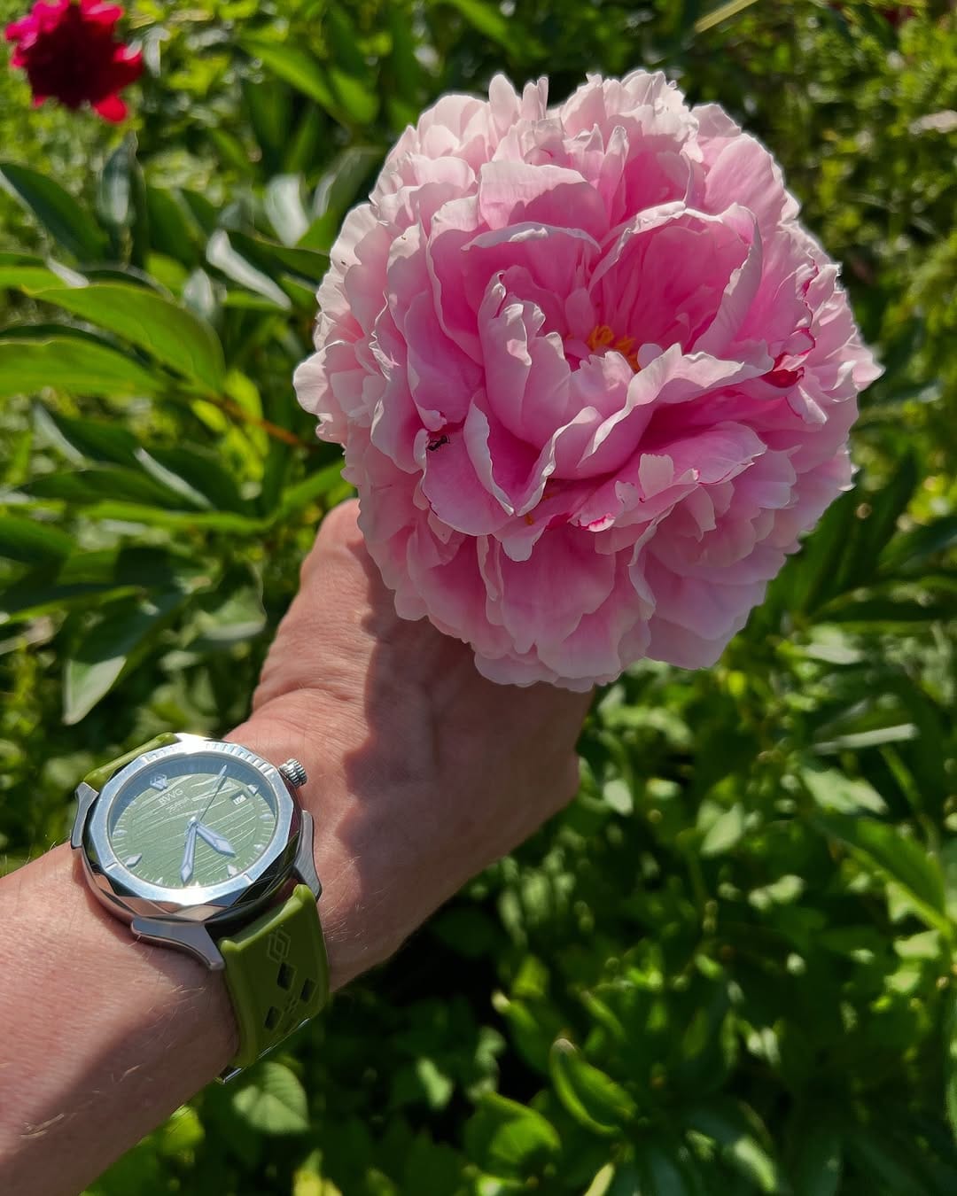 Post 4 by BavarianWatch on Instagram (image)