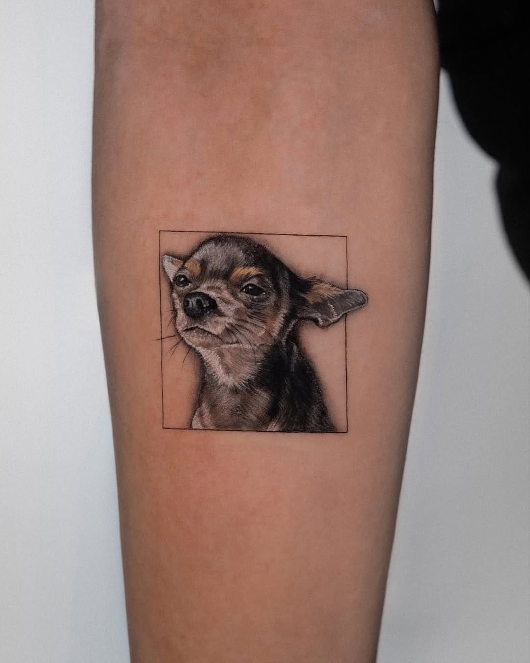 Post 2 by GON TATTOO on Instagram (carousel)
