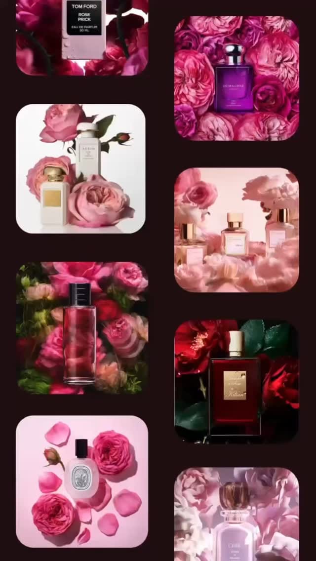 Post 10 by Aura | Luxury perfumes | Perfumes on Instagram (video)