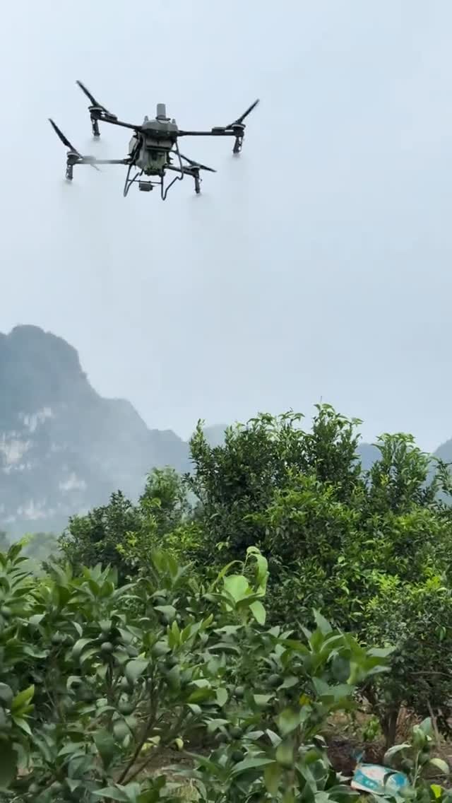 Post 1 by MaxMart on Instagram (video)