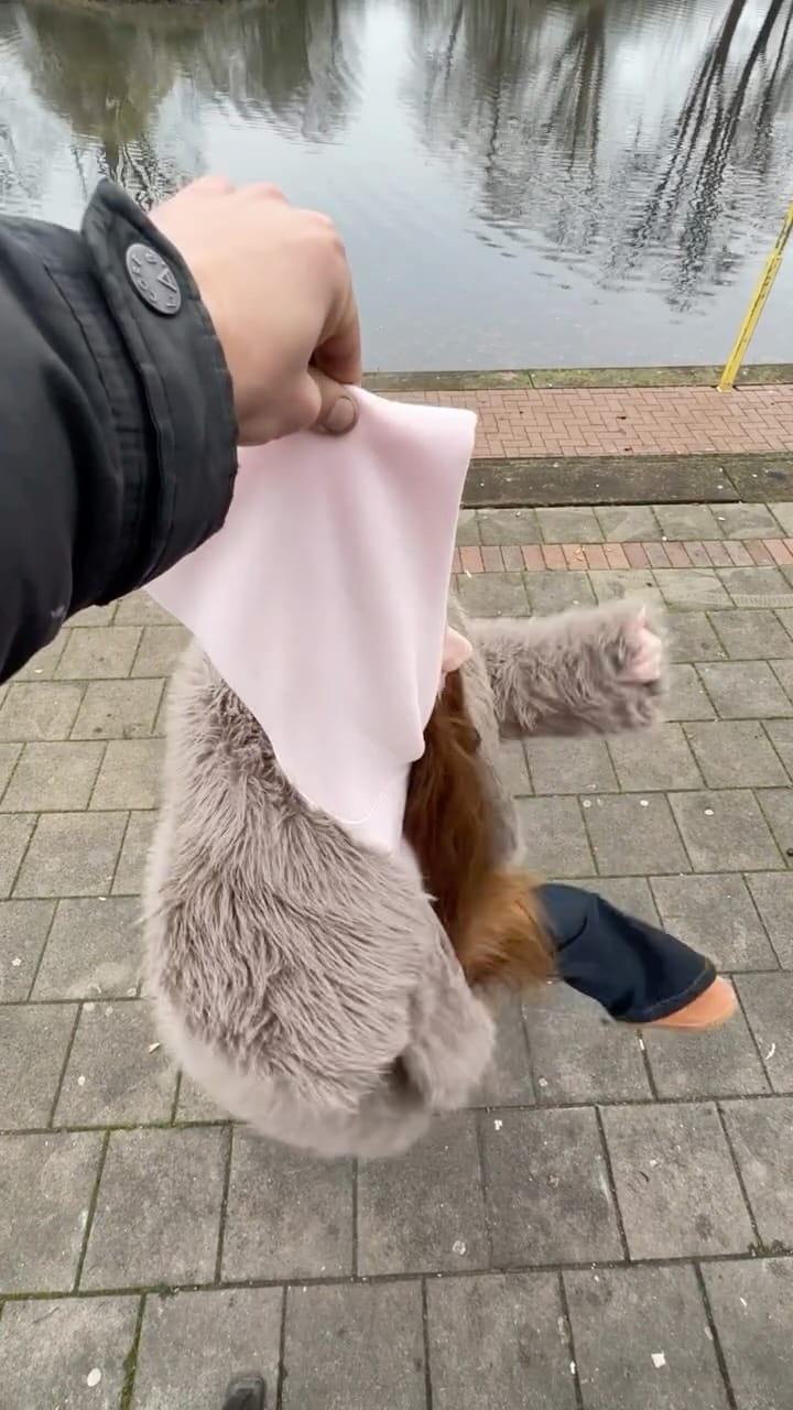 Post 10 by Isabel Sophie 🤍 on Instagram (video)