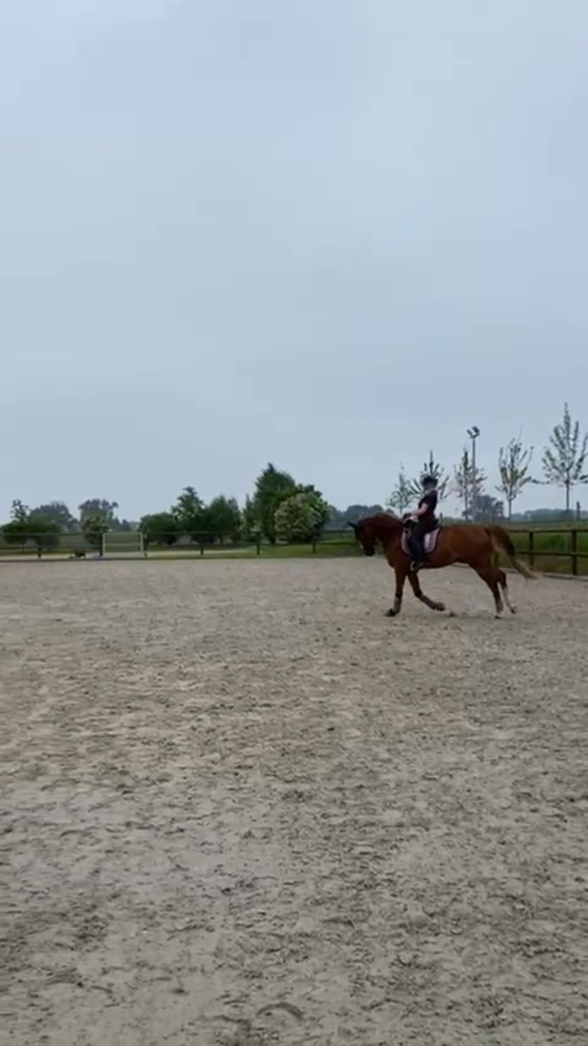 Post 8 by Sarah Friedrich on Instagram (video)