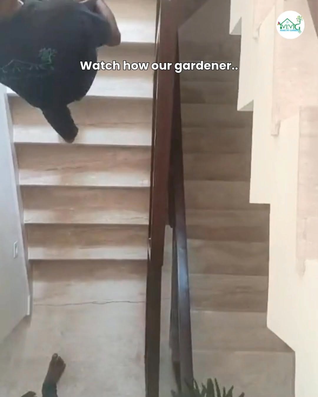 Post 1 by Make My Garden ® on Instagram (video)