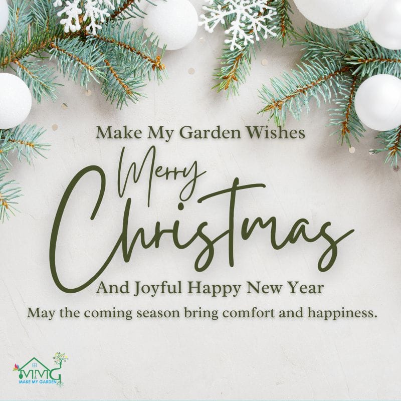 Post 2 by Make My Garden ® on Instagram (image)