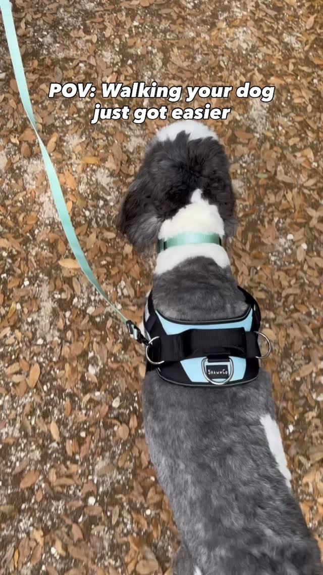 Post 7 by ShawnCo on Instagram (video)