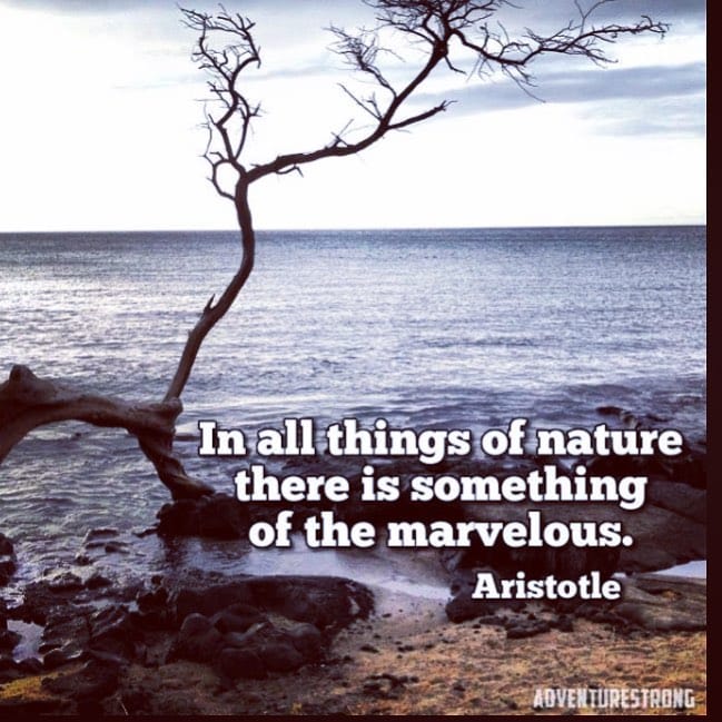 Post 10 by Zincuta on Instagram (image)