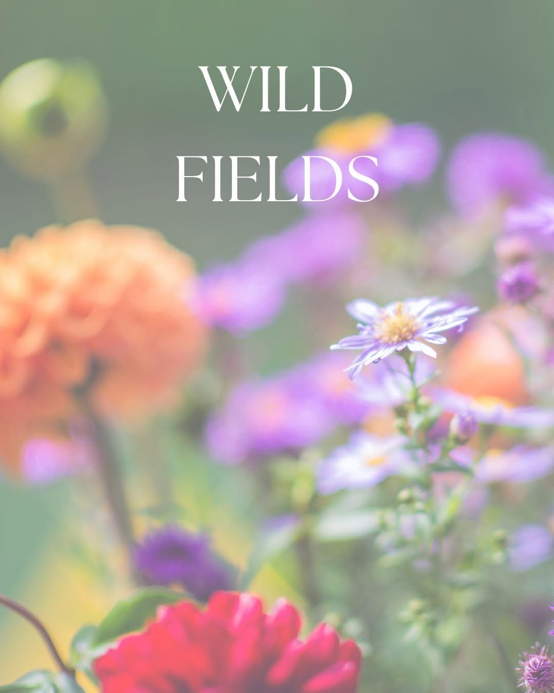 Post 4 by Stray Willow. Natural Perfumes, Skincare, Bath & Body + Gifting on Instagram (image)