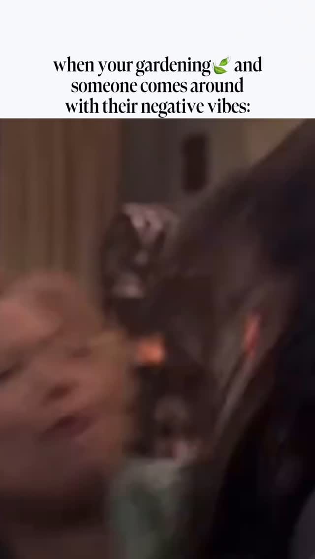 Post 1 by Earth’s Dew on Instagram (video)