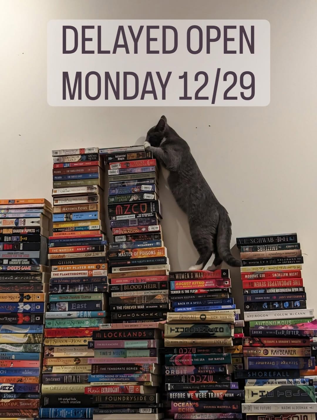 Post 6 by Still North Books & Bar on Instagram (image)