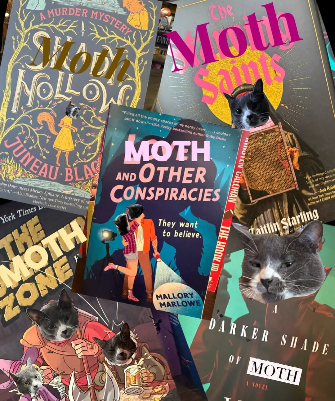 Post 4 by Still North Books & Bar on Instagram (image)
