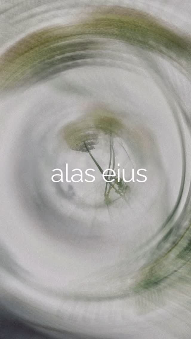 Post 10 by alas eius on Instagram (video)