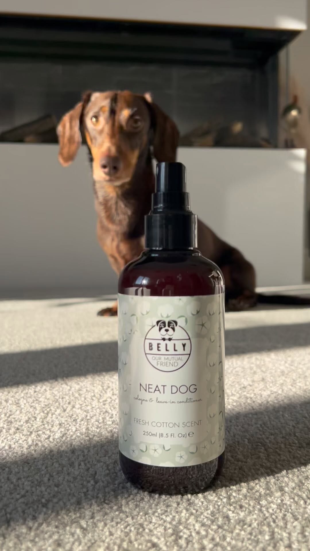 Post 8 by Belly 🐾 Dog Grooming Products on Instagram (video)