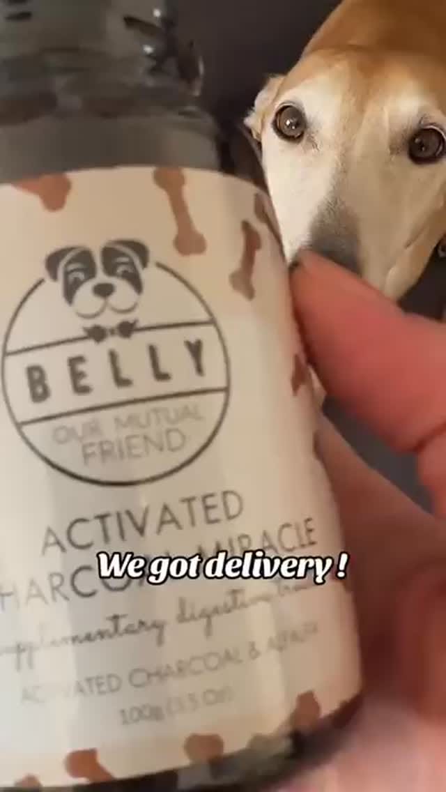 Post 4 by Belly 🐾 Dog Grooming Products on Instagram (video)