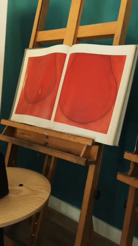 Post 4 by Aciel Martinez Poll on Instagram (video)