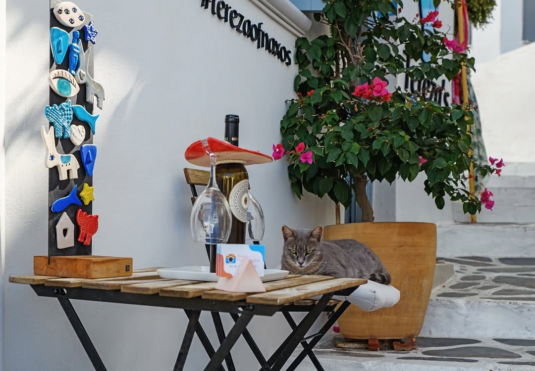 Post 7 by Tereza’s Greek Concept Store 🧿 on Instagram (image)
