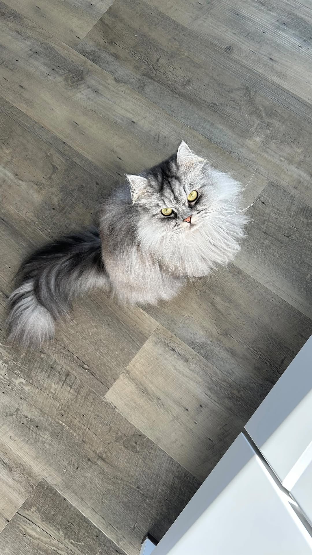 Post 2 by D a r l i n e 🧿| Interior | Mumlife | Alltag on Instagram (video)