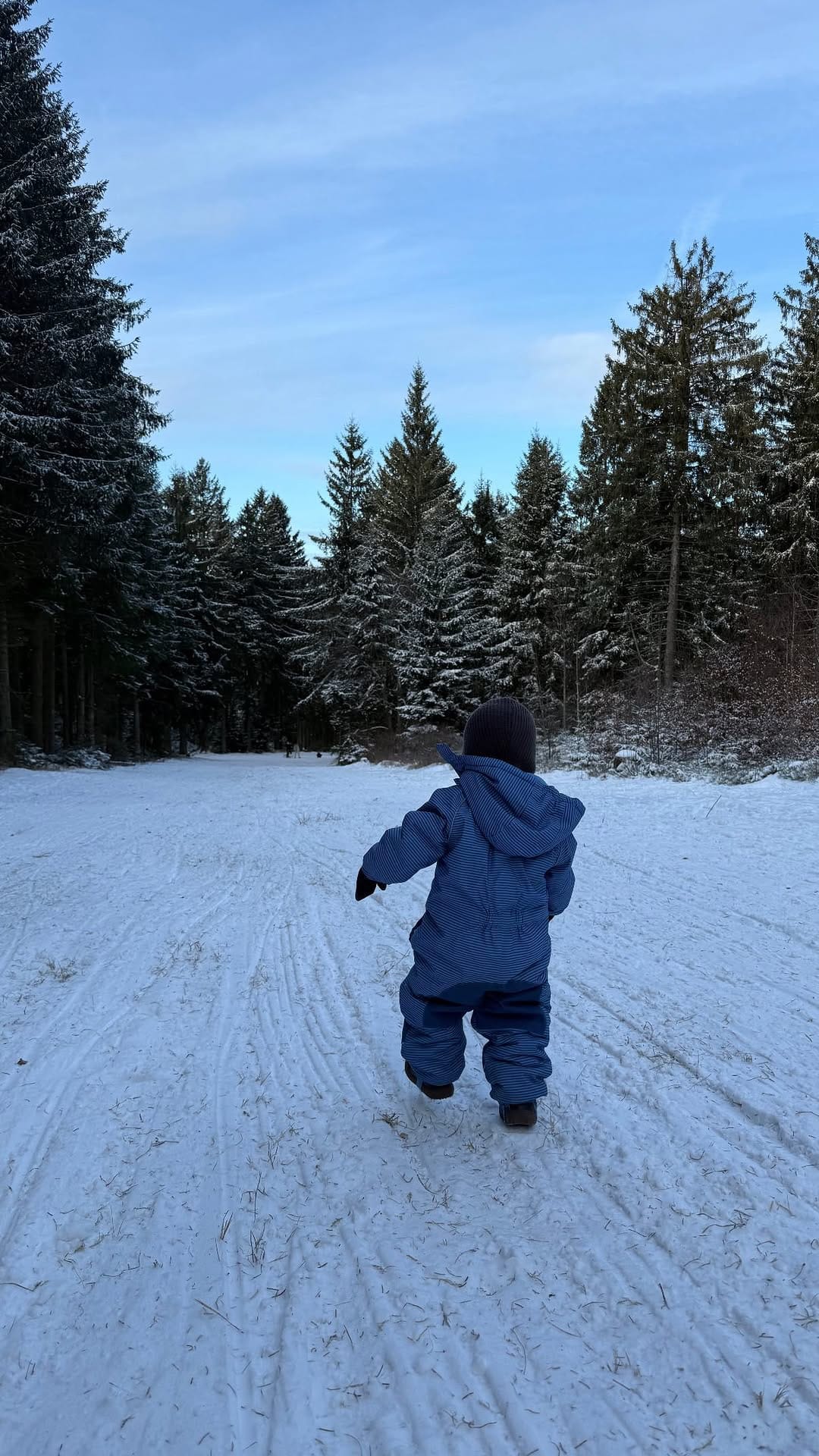 Post 6 by D a r l i n e 🧿| Interior | Mumlife | Alltag on Instagram (video)