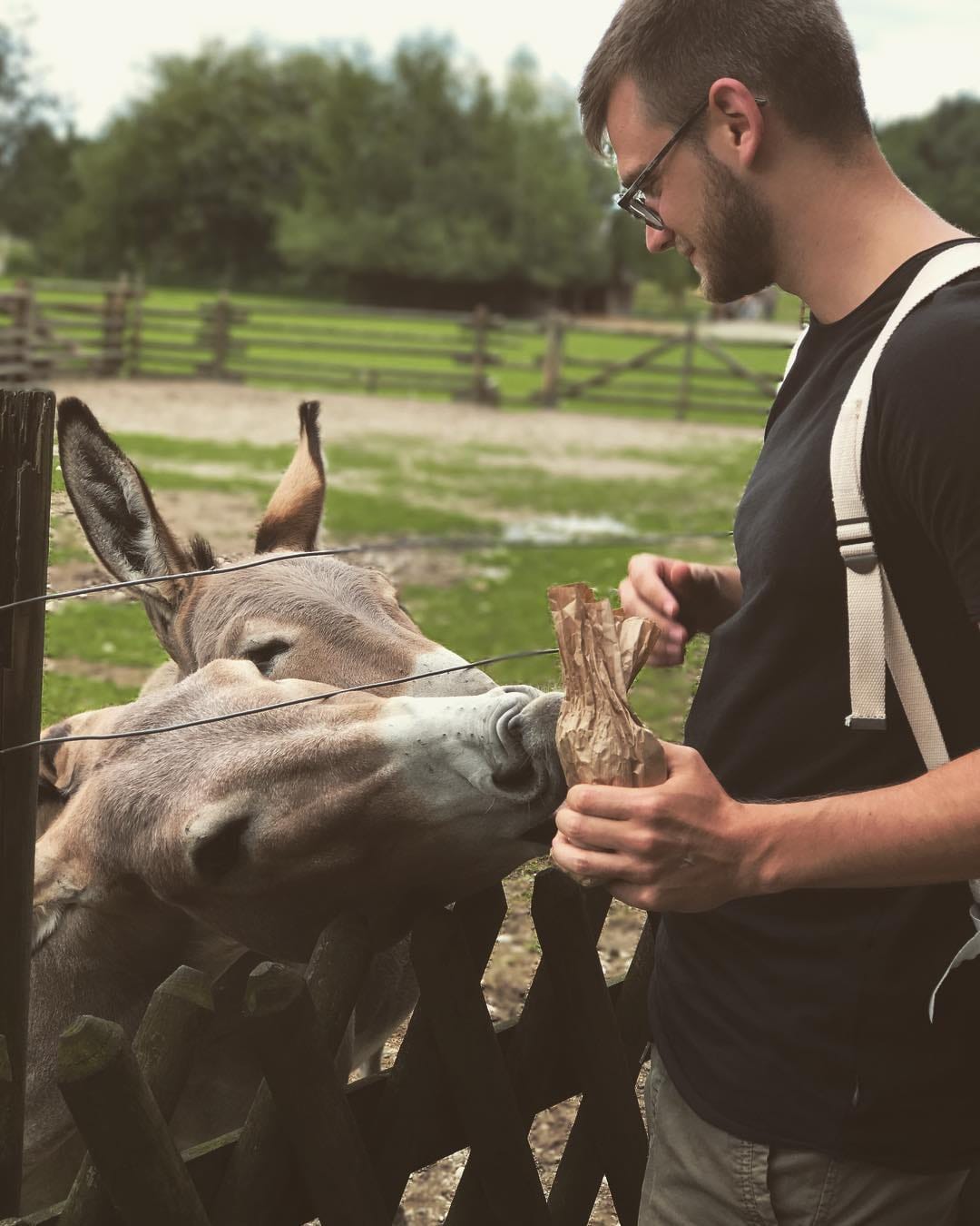 Post 10 by Alexander Hermann on Instagram (image)