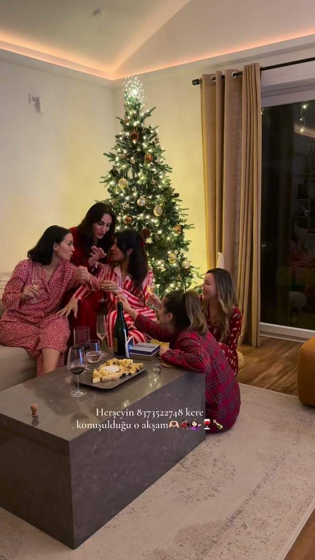 Post 8 by Azra Ece Ertug on Instagram (video)