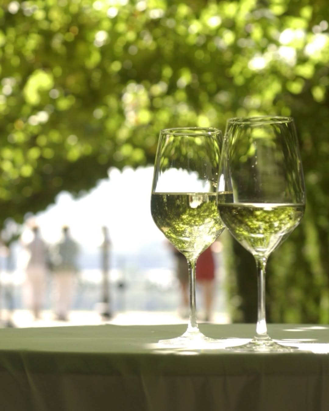Post 1 by Wines of Germany on Instagram (carousel)