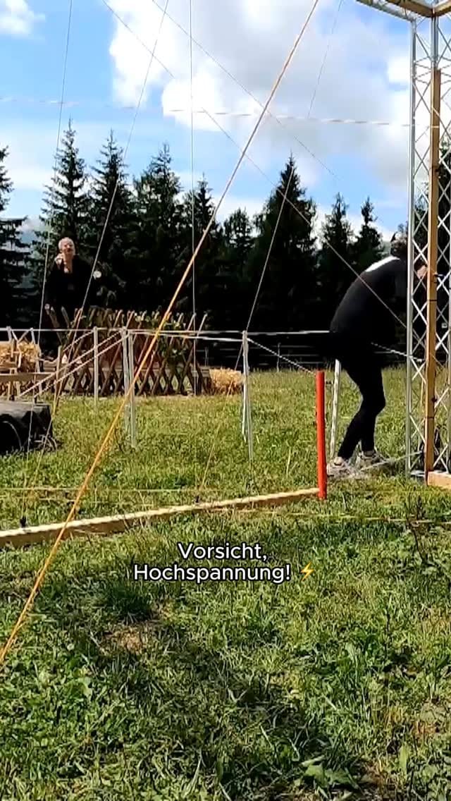 Post 8 by Leon Content ✨ on Instagram (video)