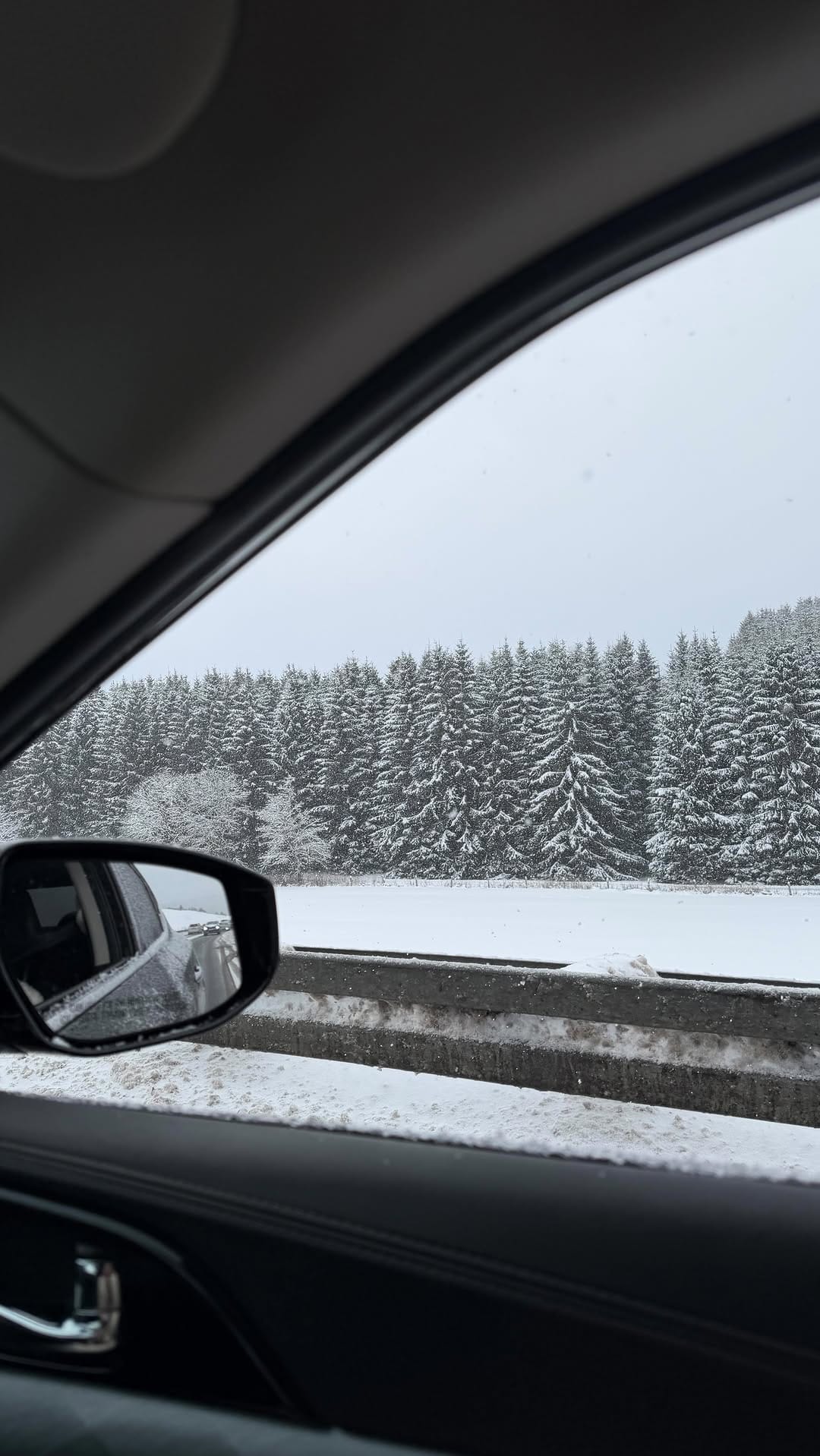 Post 4 by Arzu on Instagram (video)
