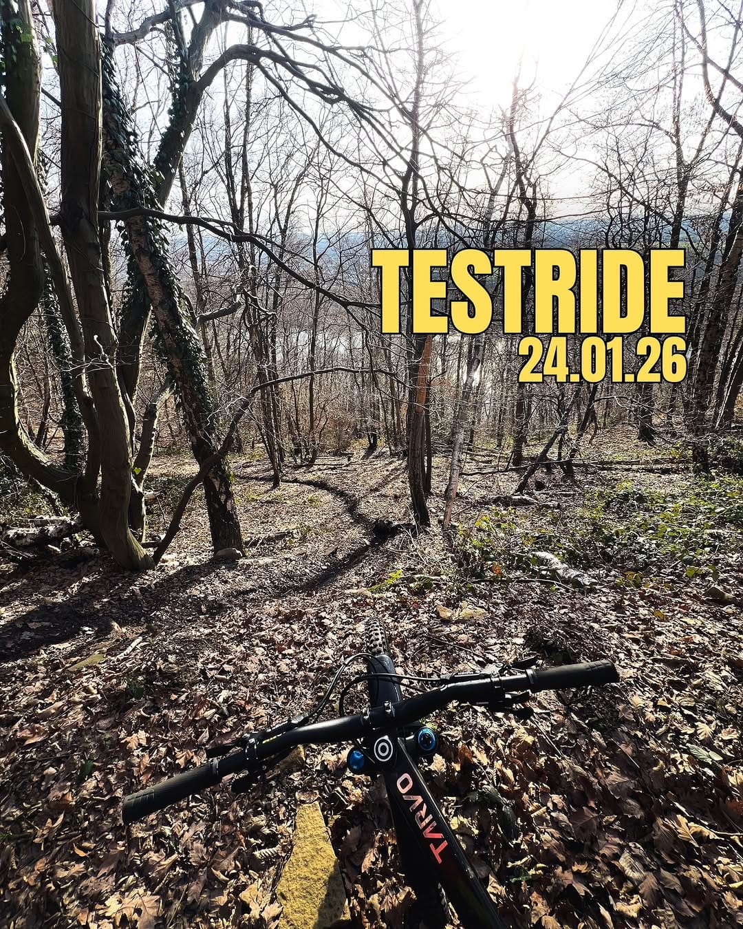 Post 1 by LAST Bikes on Instagram (image)
