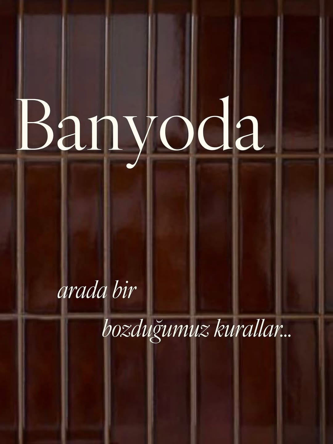 Post 8 by İRYA on Instagram (carousel)