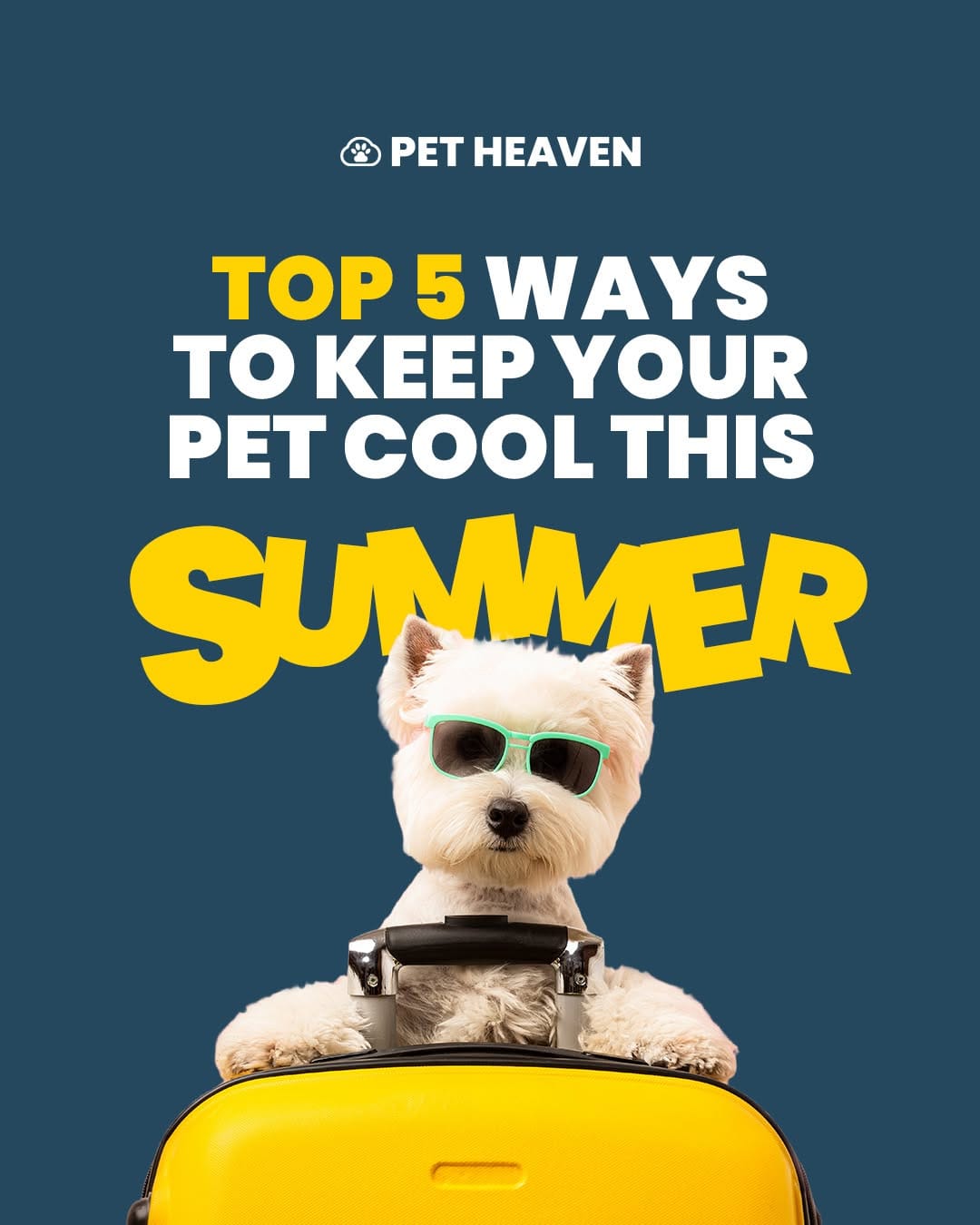 Post 10 by Pet Heaven on Instagram (carousel)