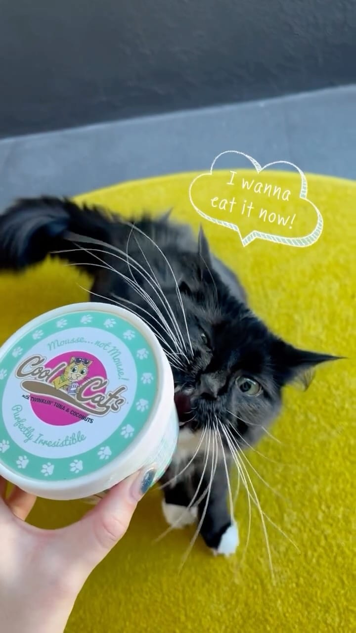 Post 5 by Pet Heaven on Instagram (video)