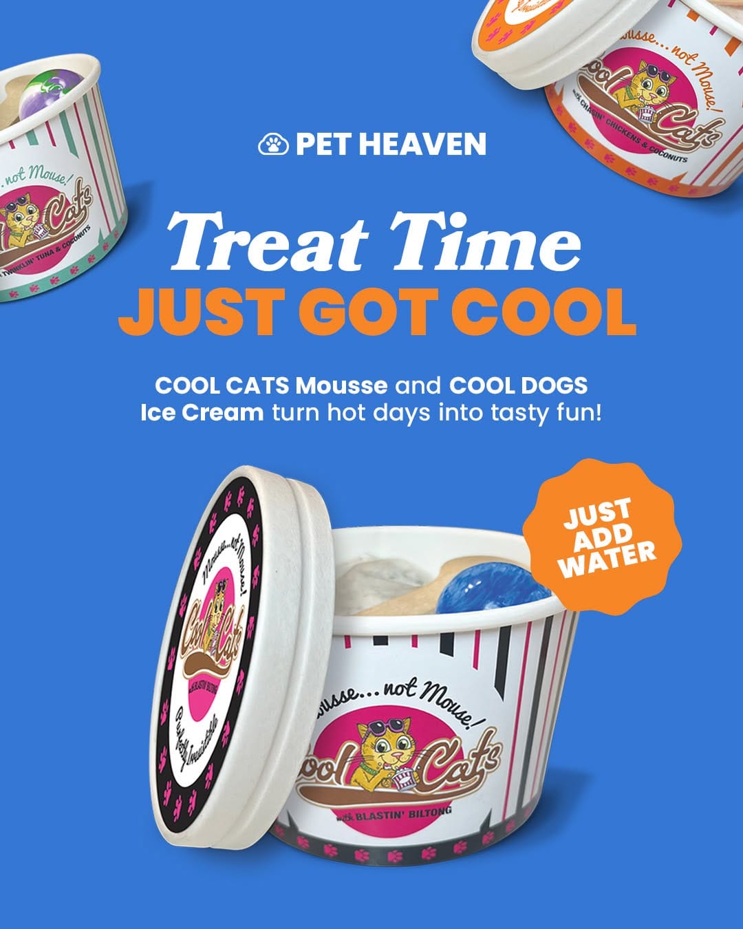 Post 9 by Pet Heaven on Instagram (image)