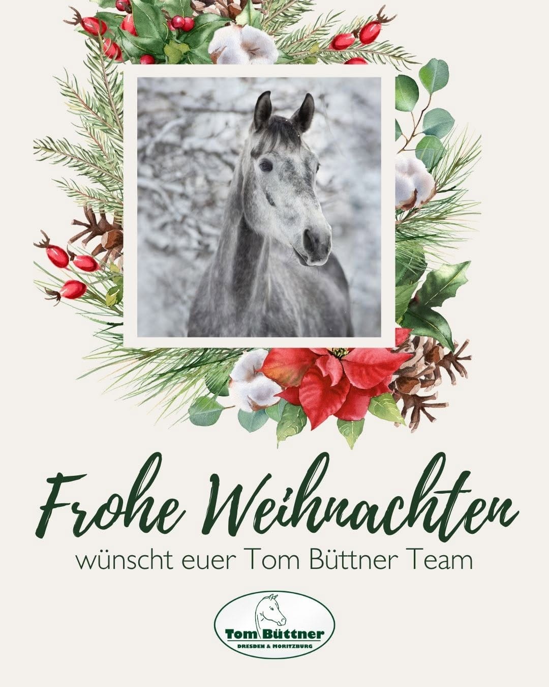 Post 6 by Pferdesport Tom Büttner on Instagram (image)