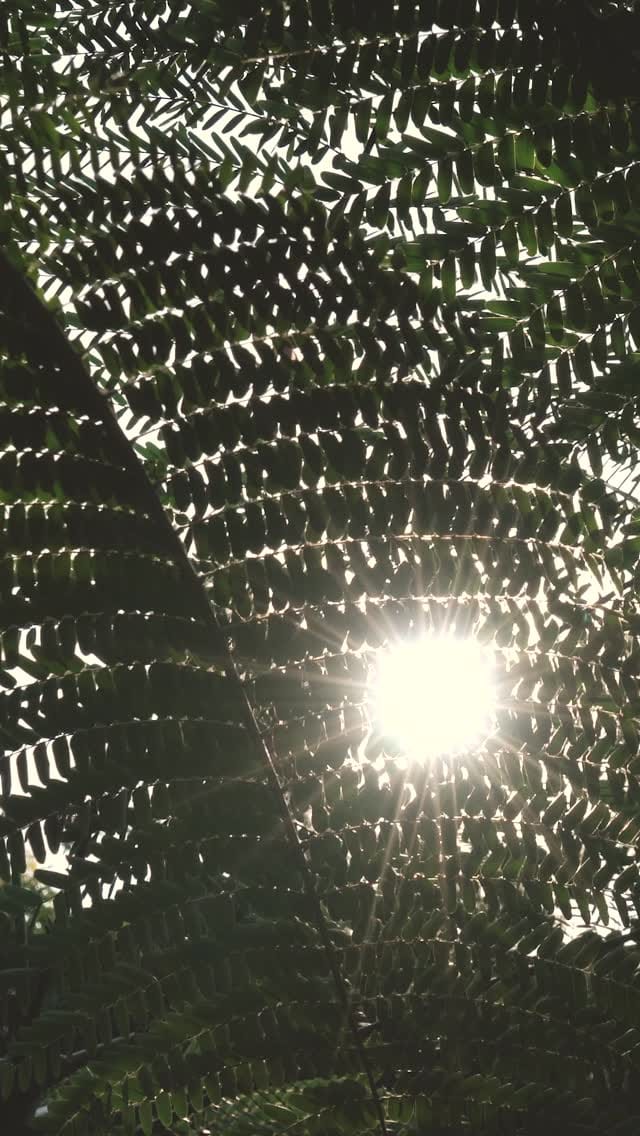 Post 4 by Heveya® Bali on Instagram (video)