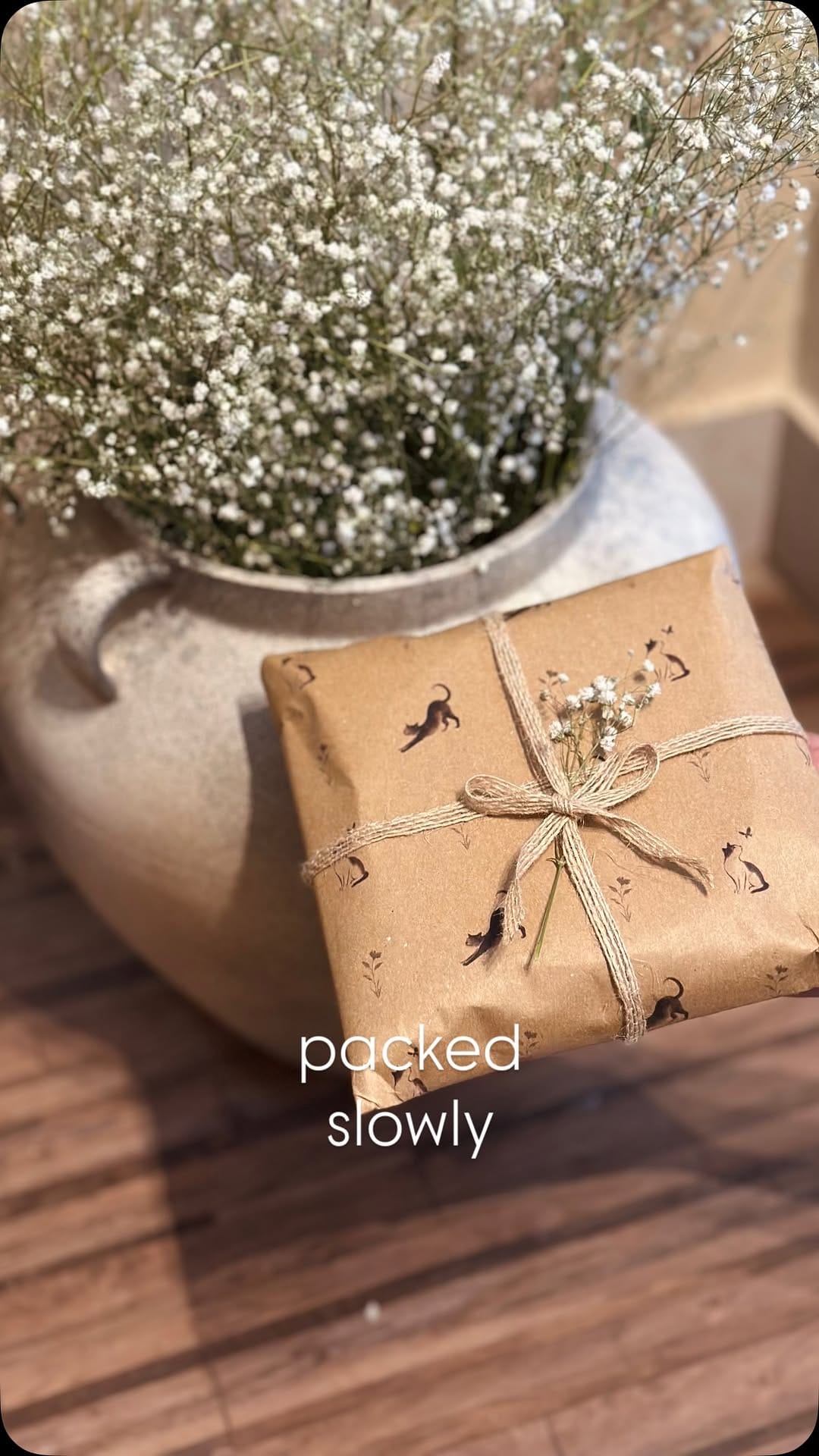Post 6 by Curious Cat Company on Instagram (video)