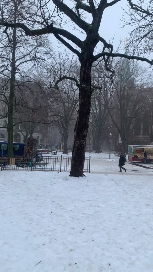 Post 2 by Bartleby & Co. on Instagram (video)