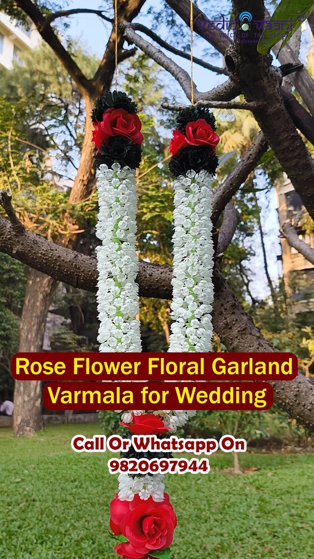 Post 5 by Vedic Vaani on Instagram (video)