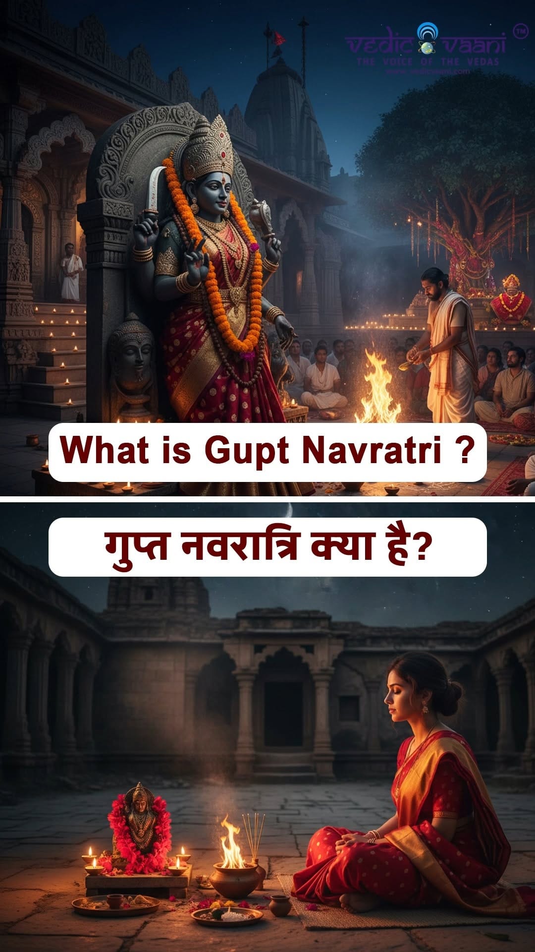 Post 3 by Vedic Vaani on Instagram (video)